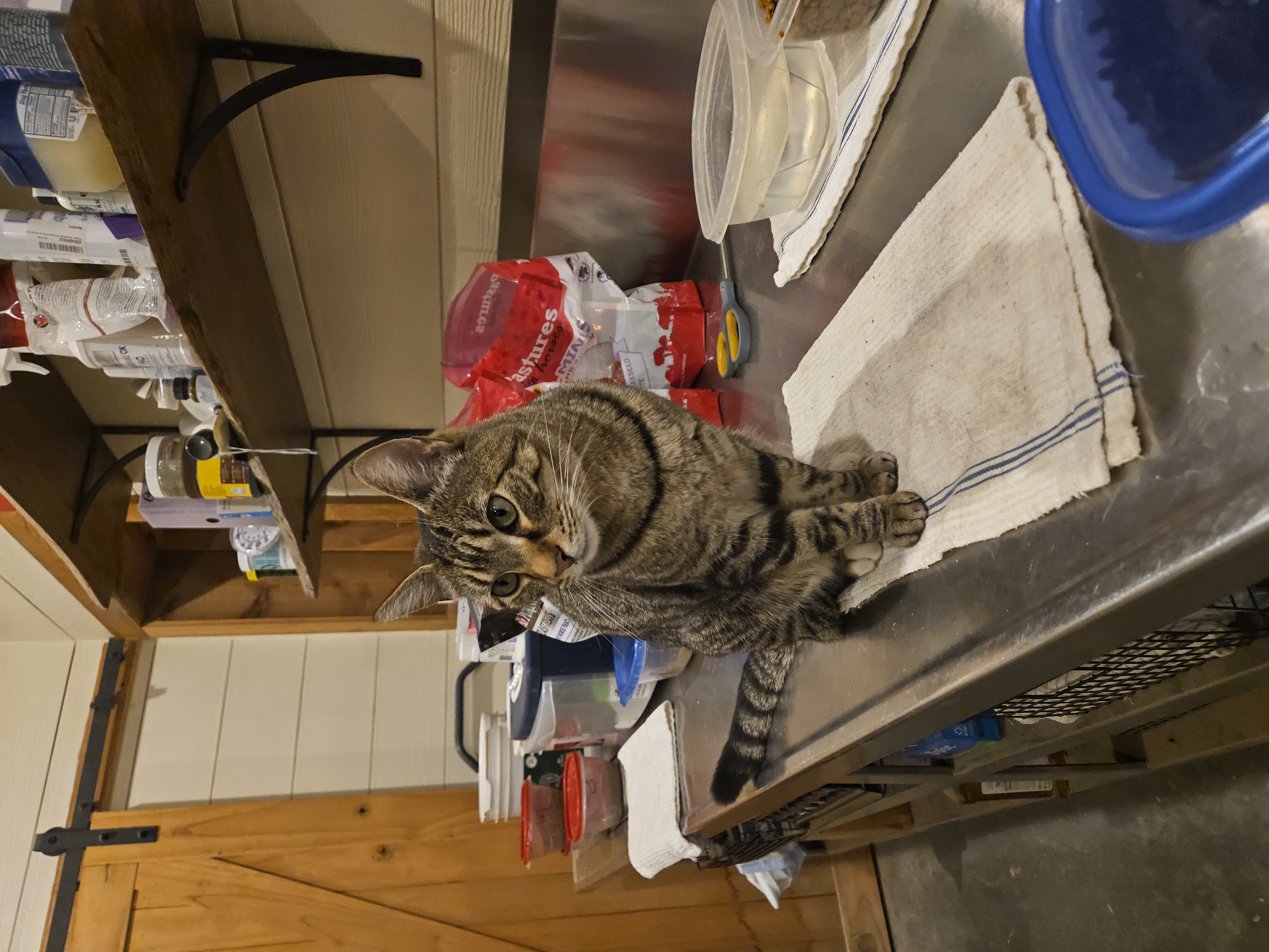 Sara Royster - Photo 12