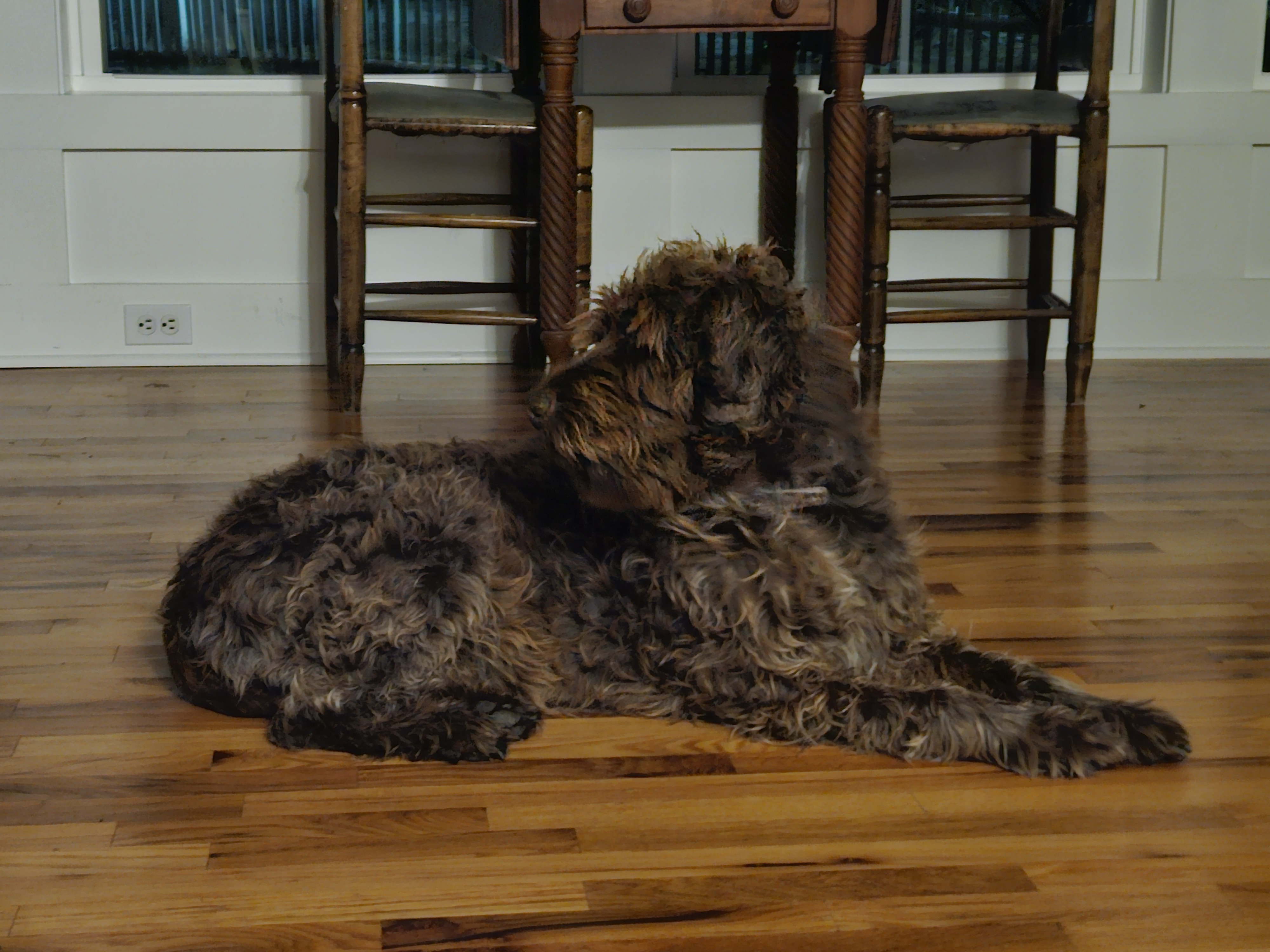 Sara Royster - Photo 22