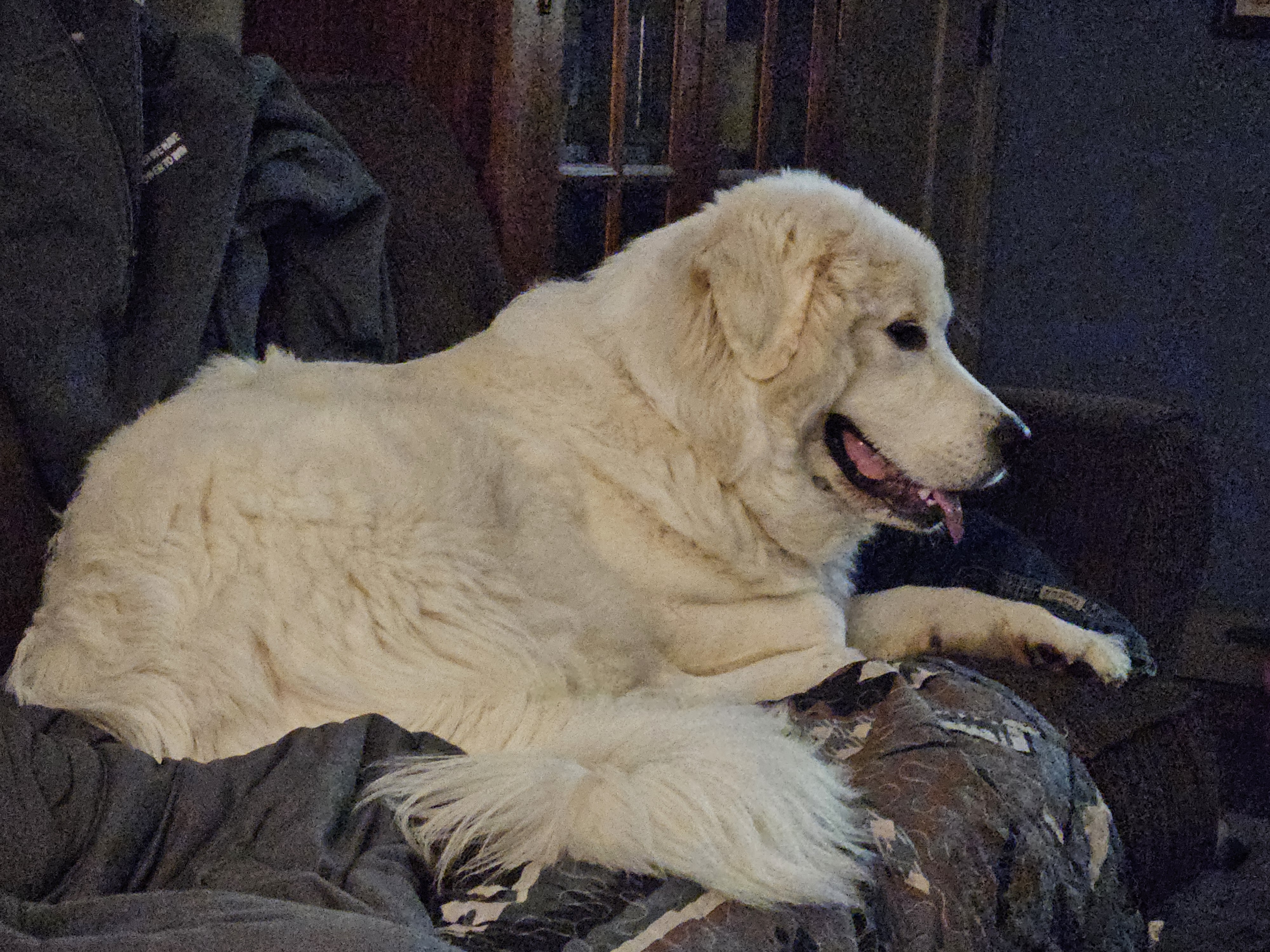 Sara Royster - Photo 13