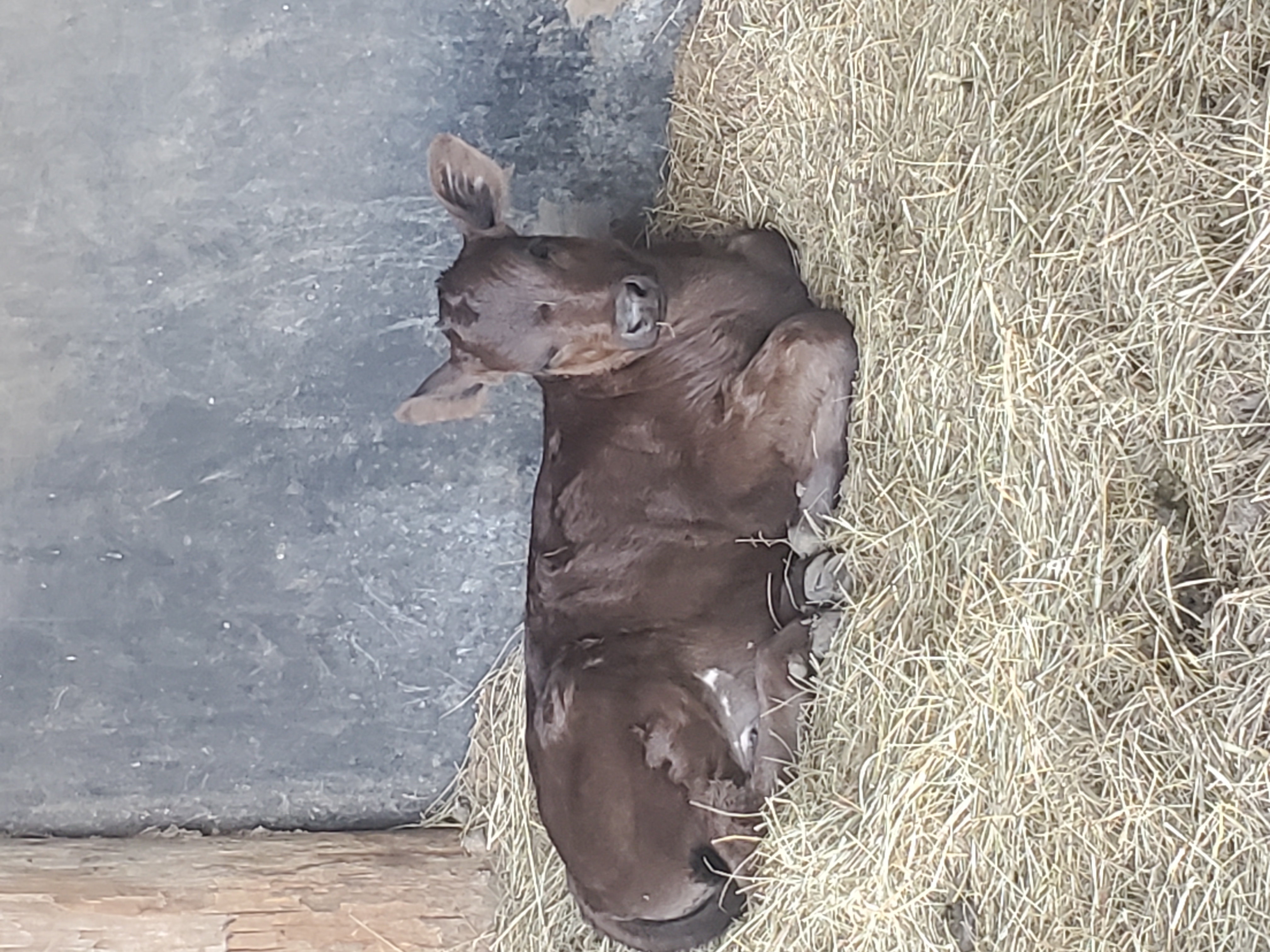 Sara Royster - Photo 18