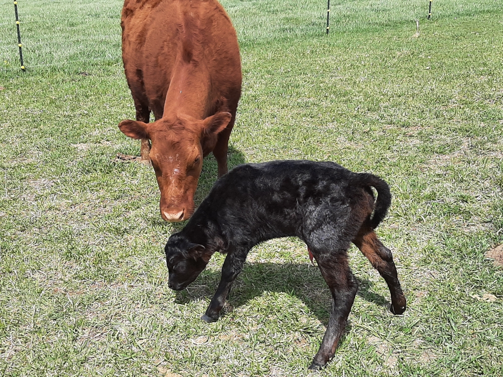 Sara Royster - Photo 7