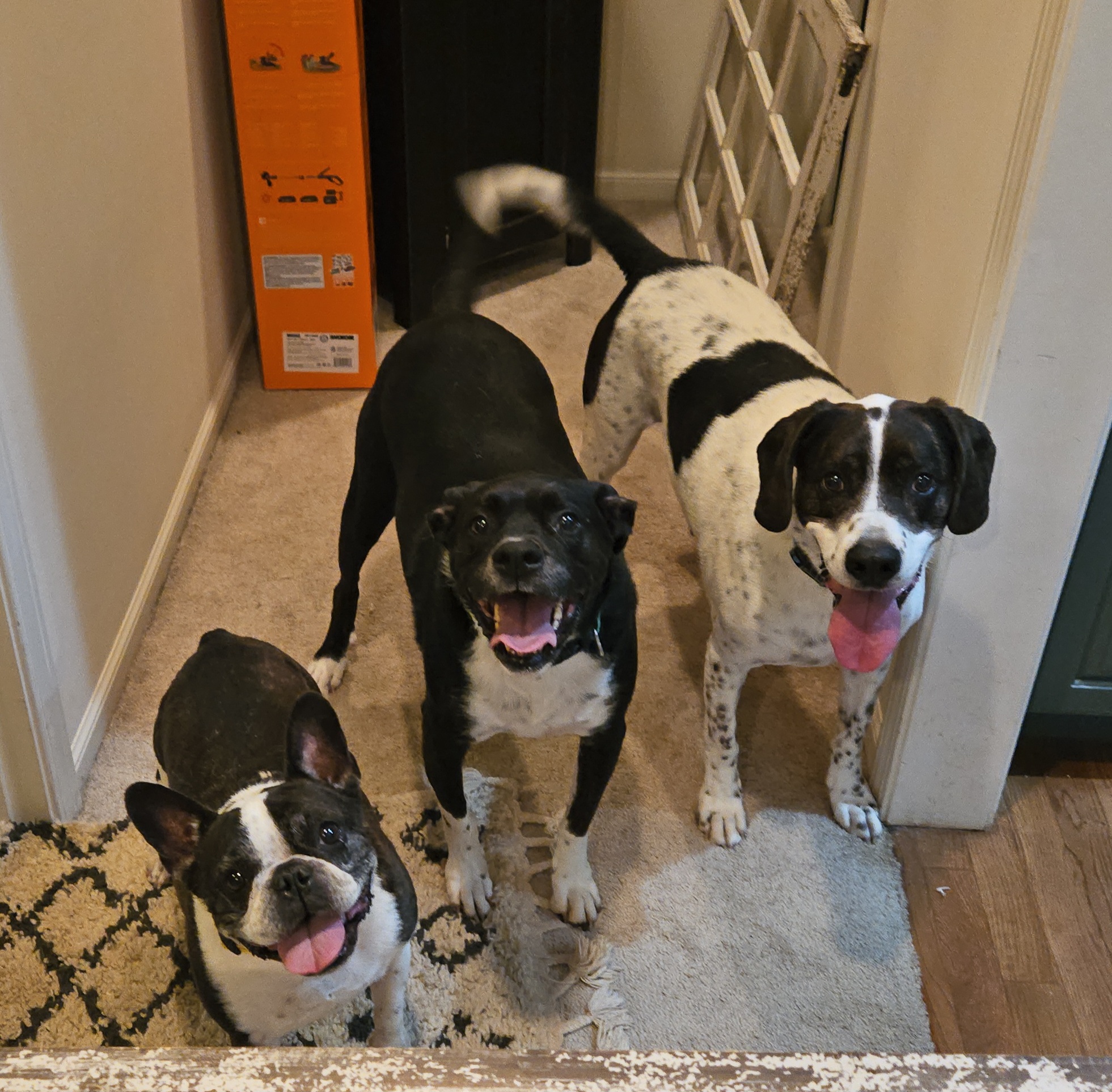 Sara Royster - Photo 16