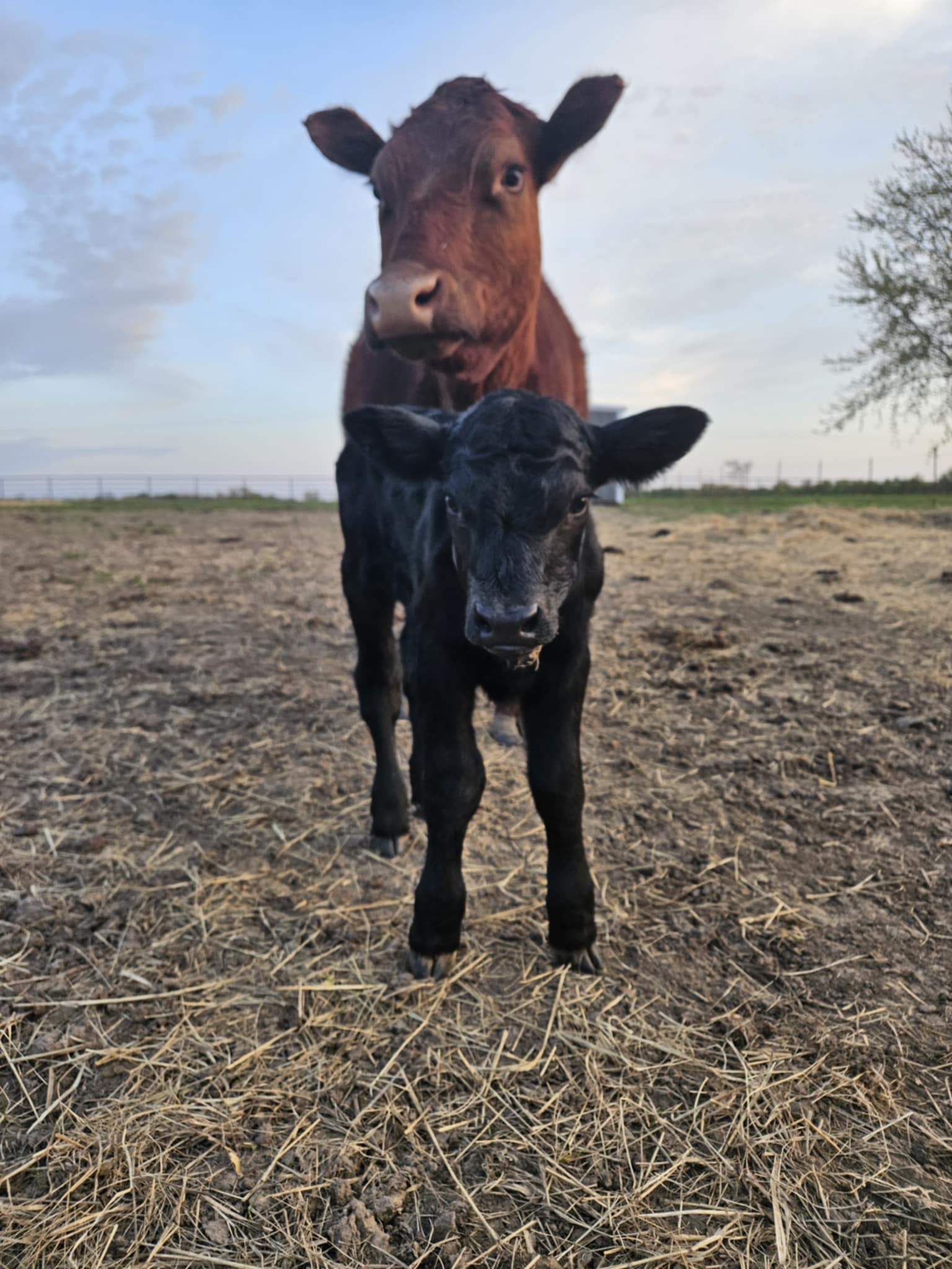 Sara Royster - Photo 8