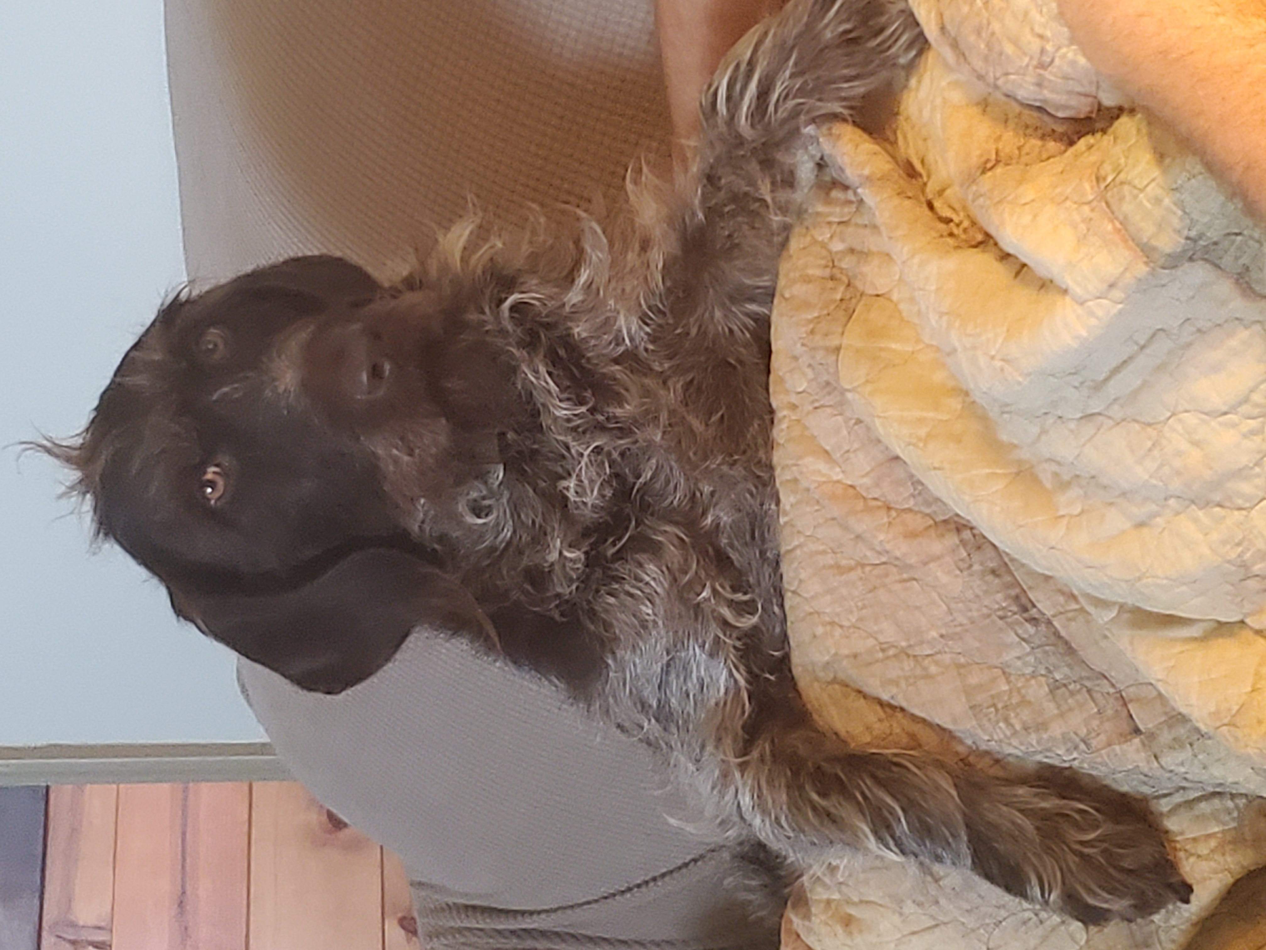 Sara Royster - Photo 19