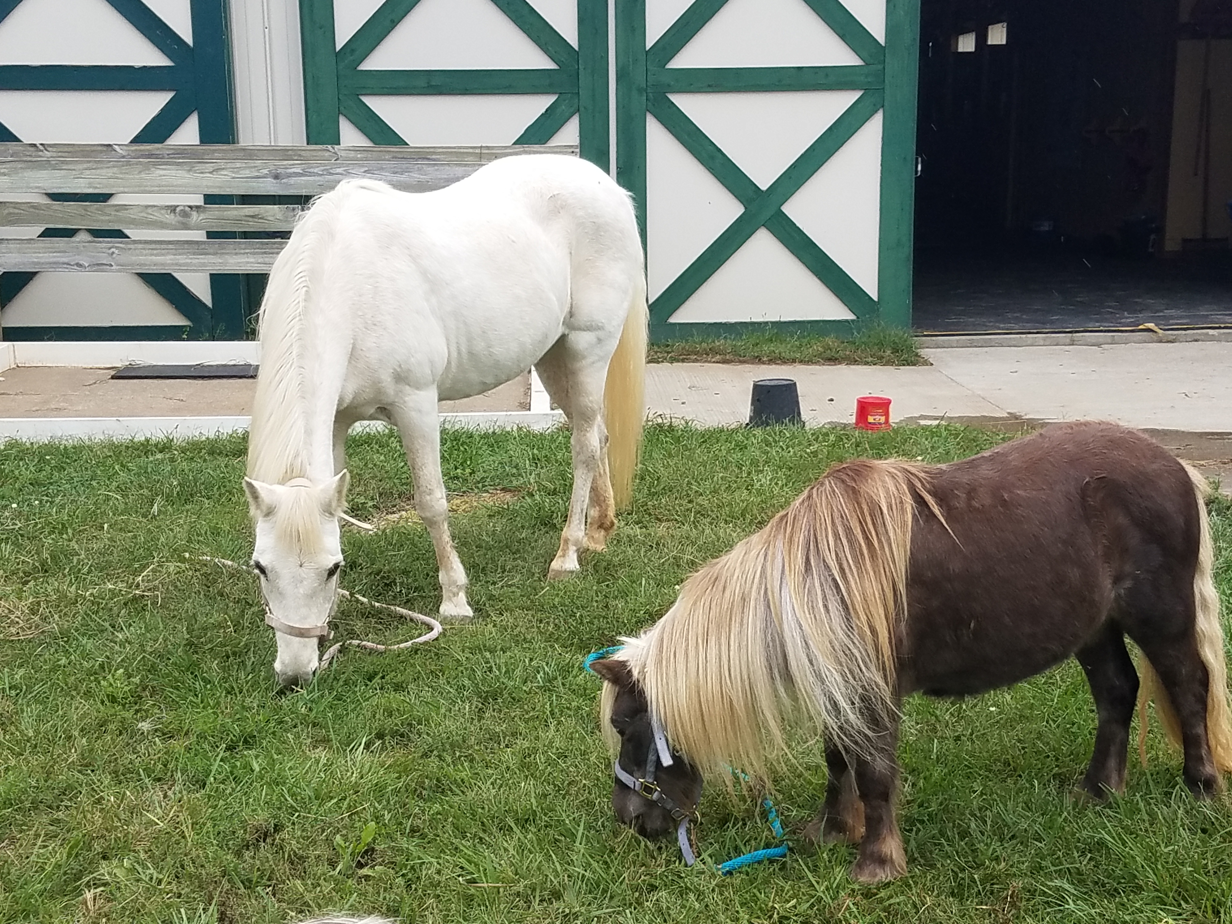 Sara Royster - Photo 11