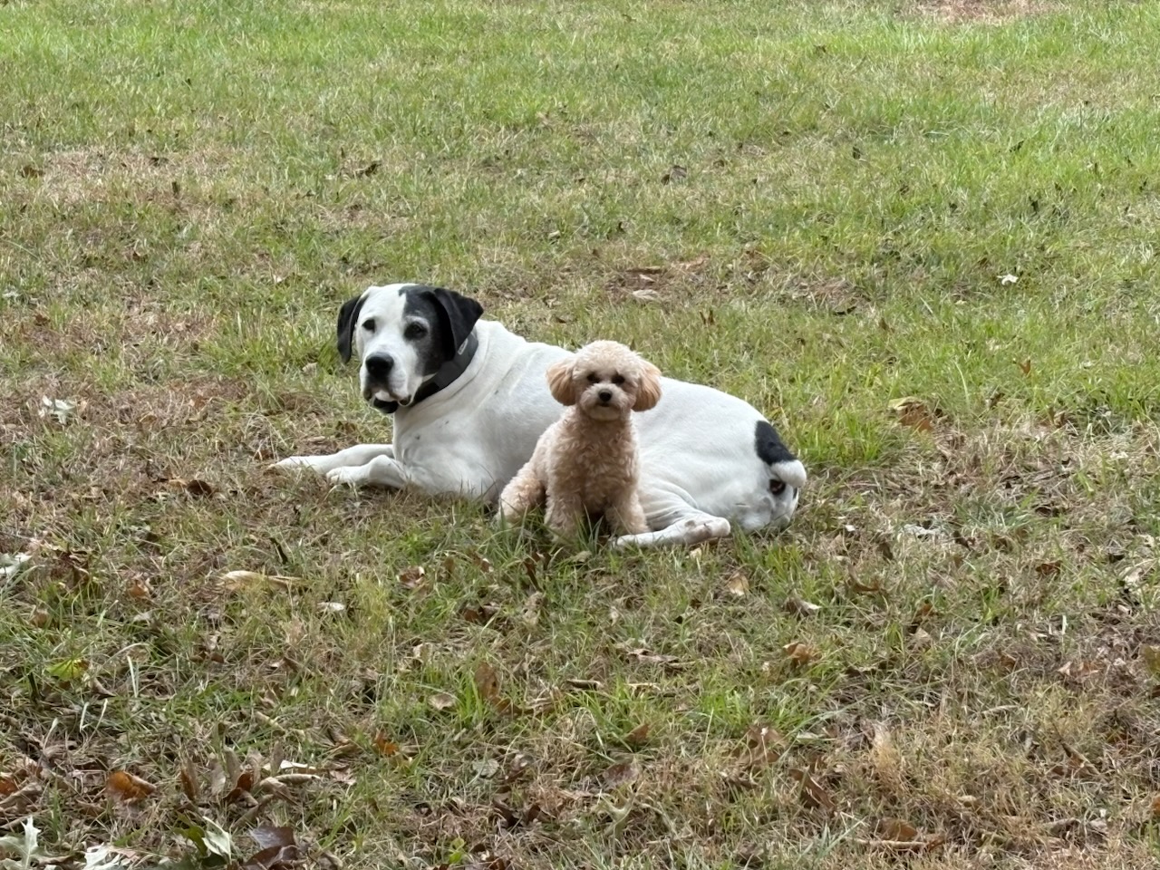 Sara Royster - Photo 14