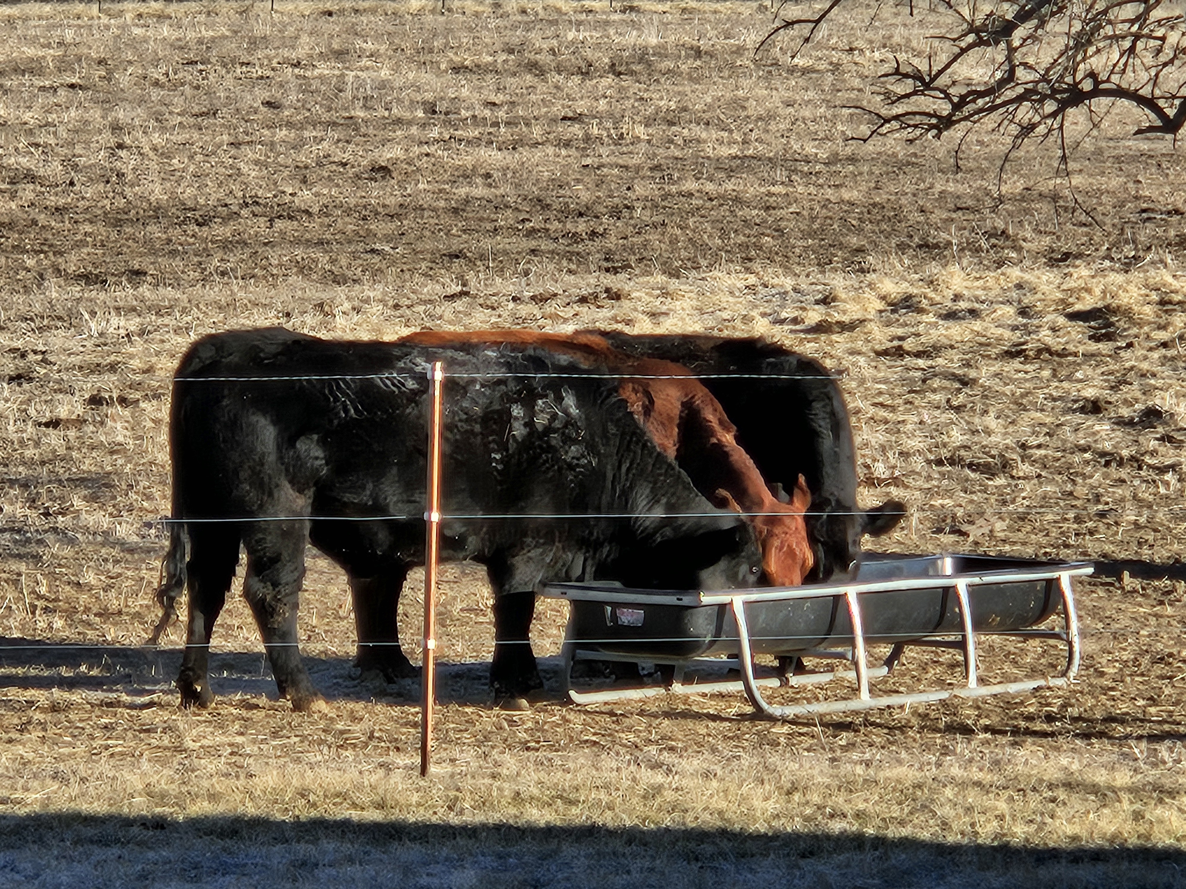 Sara Royster - Photo 5