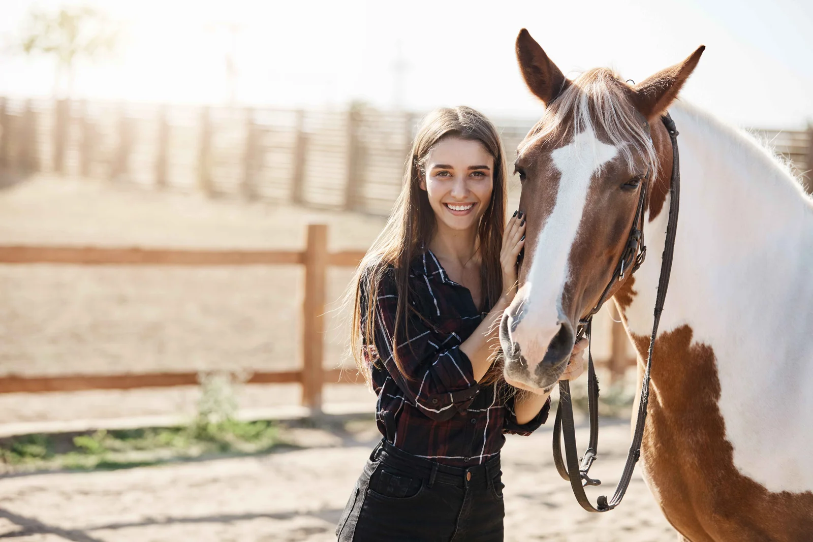 Beautiful pastoral scene with horses and animals